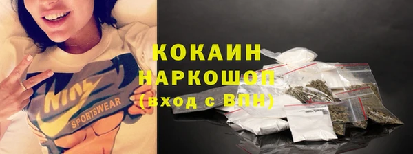 стафф Алзамай