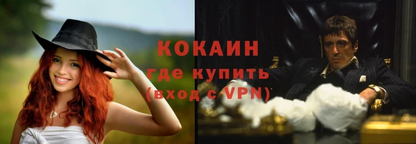 стафф Алзамай