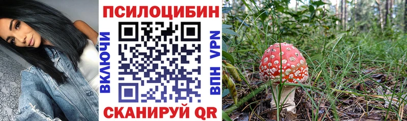 продажа наркотиков  Ардон  ОМГ ОМГ рабочий сайт  Псилоцибиновые грибы MAGIC MUSHROOMS 